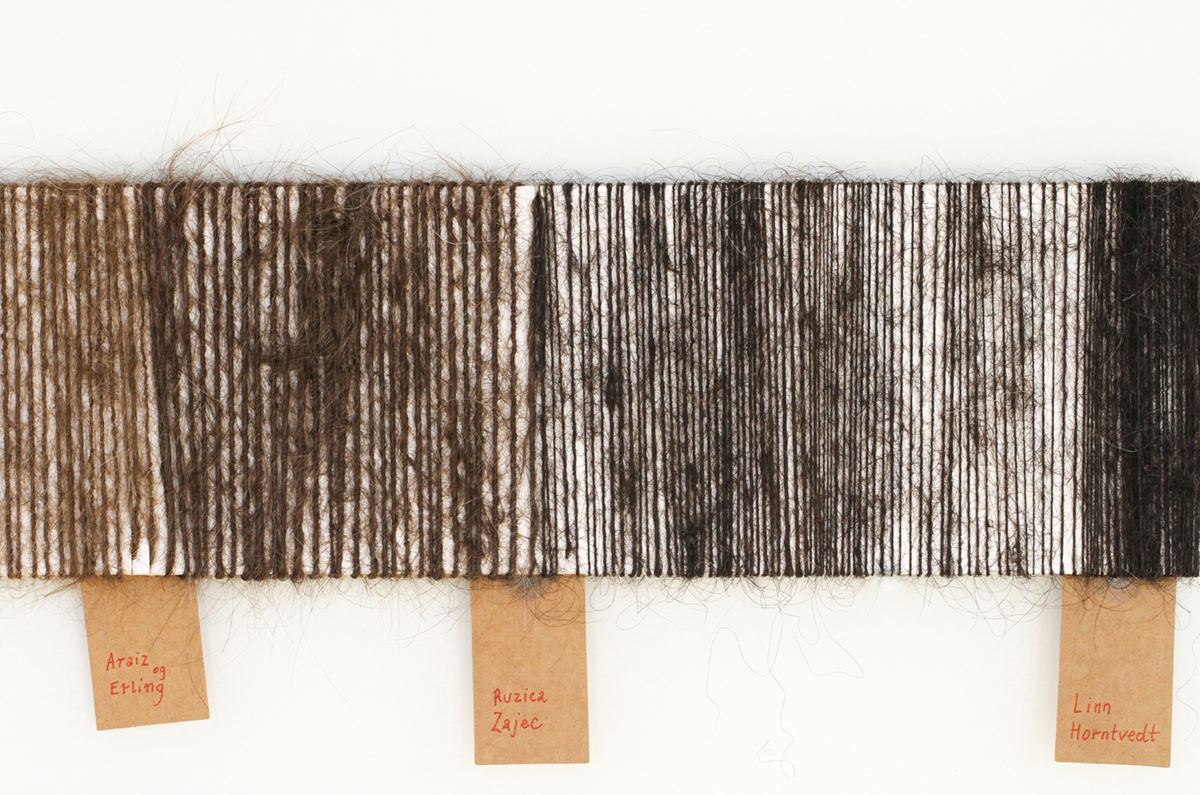 Izabela Zolcinska work 036 Image 015