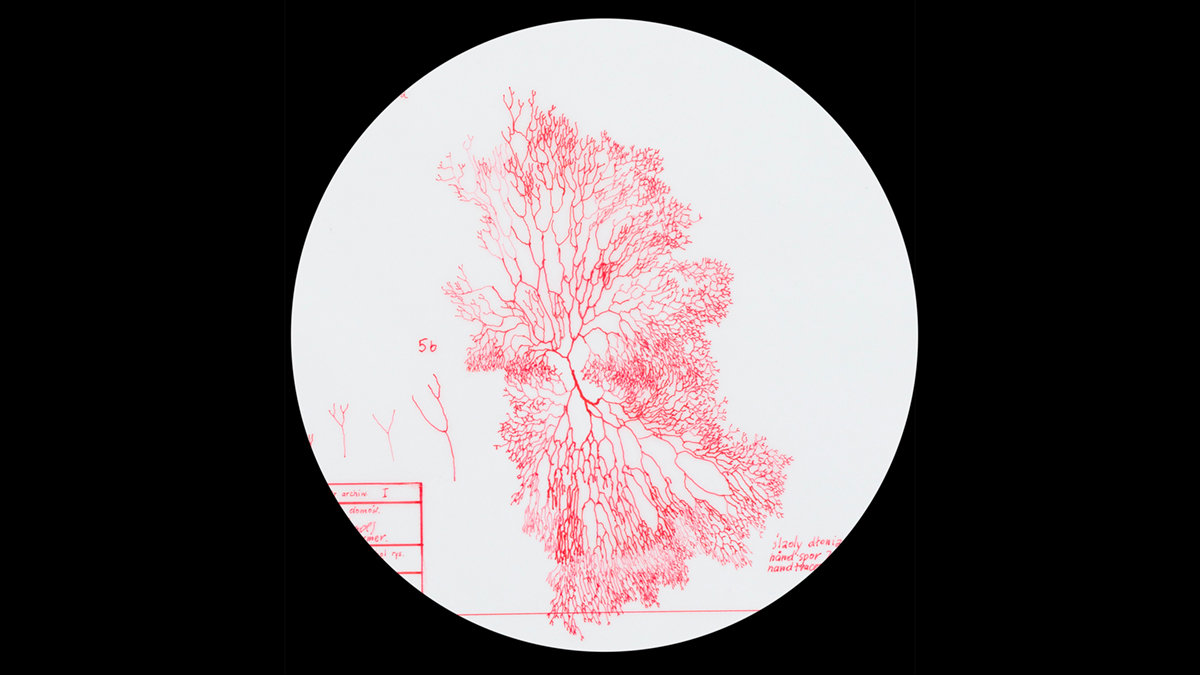 Izabela Zolcinska Work 034 Image 08